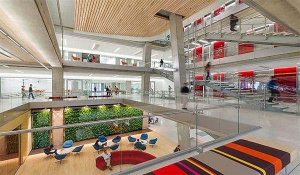 Purva Northern Lights Latest Photos Purva Northern Lights Latest Photos