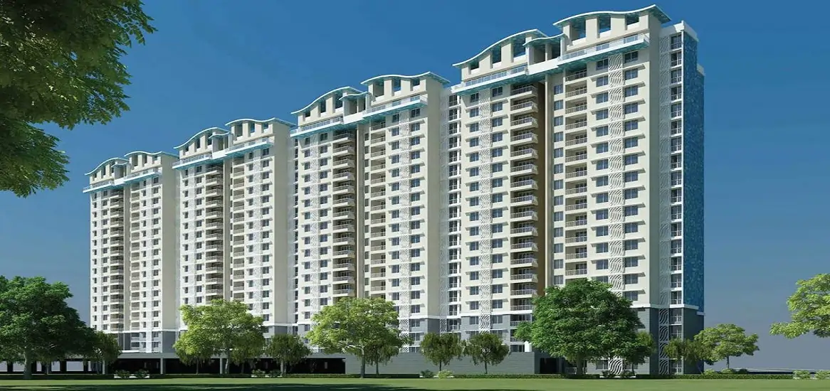 Purva Northern Waves Purva Northern Waves